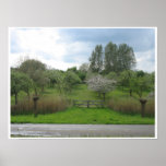 Fence, Road and Trees in Nature Photo Poster Art posters