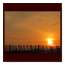 Fence-Sun Poster posters