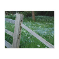 Fence to a Field Postcard by wandringmind Fence to a Field Postcard