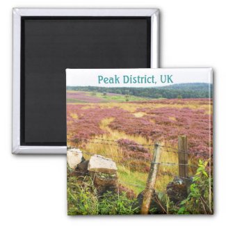 Fenced field in Peak District, UK Fridge Magnet