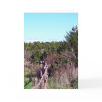 Fenced Forest Greeting Card