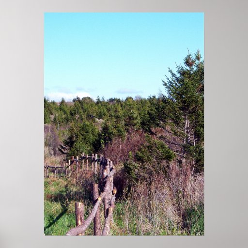 Fenced Forest Poster