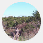 Fenced Forest Stickers