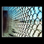 fenced in postcards