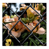 Fenced In Poster posters