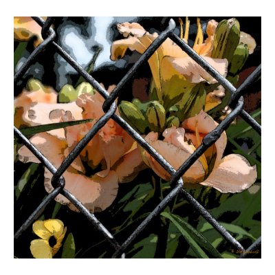 Fenced In Poster by glo53bug