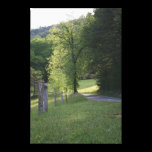 Fenced Path Canvas Print