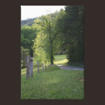 Fenced Path Canvas Print