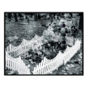 Fences posters