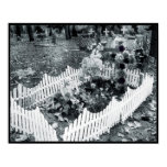 Fences