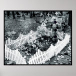Fences posters