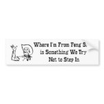 Feng Shui Bumper Sticker