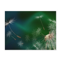 FENG SHUI INTUITIVE ENERGY postcards by FRACTAL_ART FENG SHUI INTUITIVE ENERGY postcards
