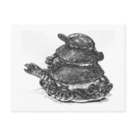 Feng Shui Triple Turtle - B&W Post Card