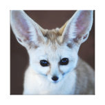 Fennec fox canvas prints