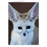 Fennec fox greeting card