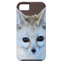 Fennec Fox iPhone 5 Cases