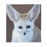 Fennec Fox Note Pad