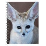 Fennec Fox Notebook