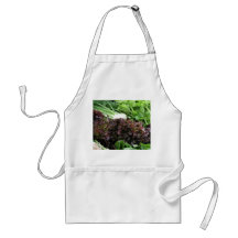 Fennel and lettuce aprons