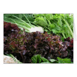 Fennel and lettuce greeting card