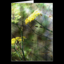 Fennel cards