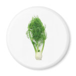 Fennel leaf and bulb magnets