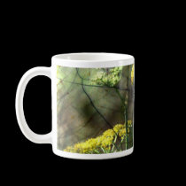 Fennel mugs