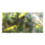 Fennel Photo Card Template