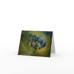 Fennel Seedhead Note Card