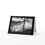 sports, photo, photograph, photography,