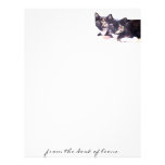 Feral Cat Family Letterhead