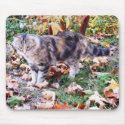 Feral Cat Mousepad by Susang6 Feral Cat Mousepad