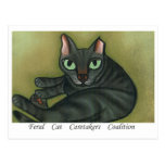 Feral Cat NURTURE MESSAGE POSTCARD