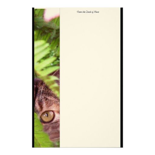 Feral Cat Personalized Stationery