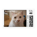 Feral cat Stamp