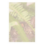 Feral Cat Stationery