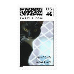FERAL CAT USPS FIRST-CLASS POSTAGE STAMP