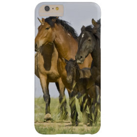 Feral Horse Equus caballus) wild horses 3 Barely There iPhone 6 Plus Case