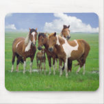 Feral horses, Assateague Island Nat. Seashore Mouse Pads
