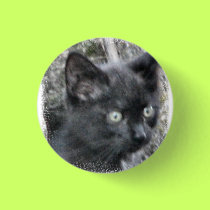Feral kitten Small button buttons