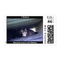 Feral Kittens Postage