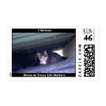 Feral Kittens postage