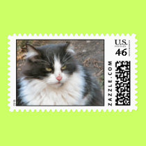 Feral tux postage