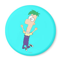 Ferb 1 magnets