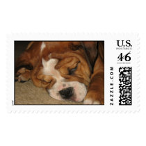 Fergie  stamps