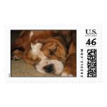 Fergie  postage