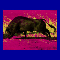 FERIA 5 posters