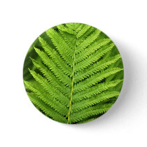 Fern 1 buttons by SilenasImages Fern 1 buttons