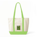Fern bags